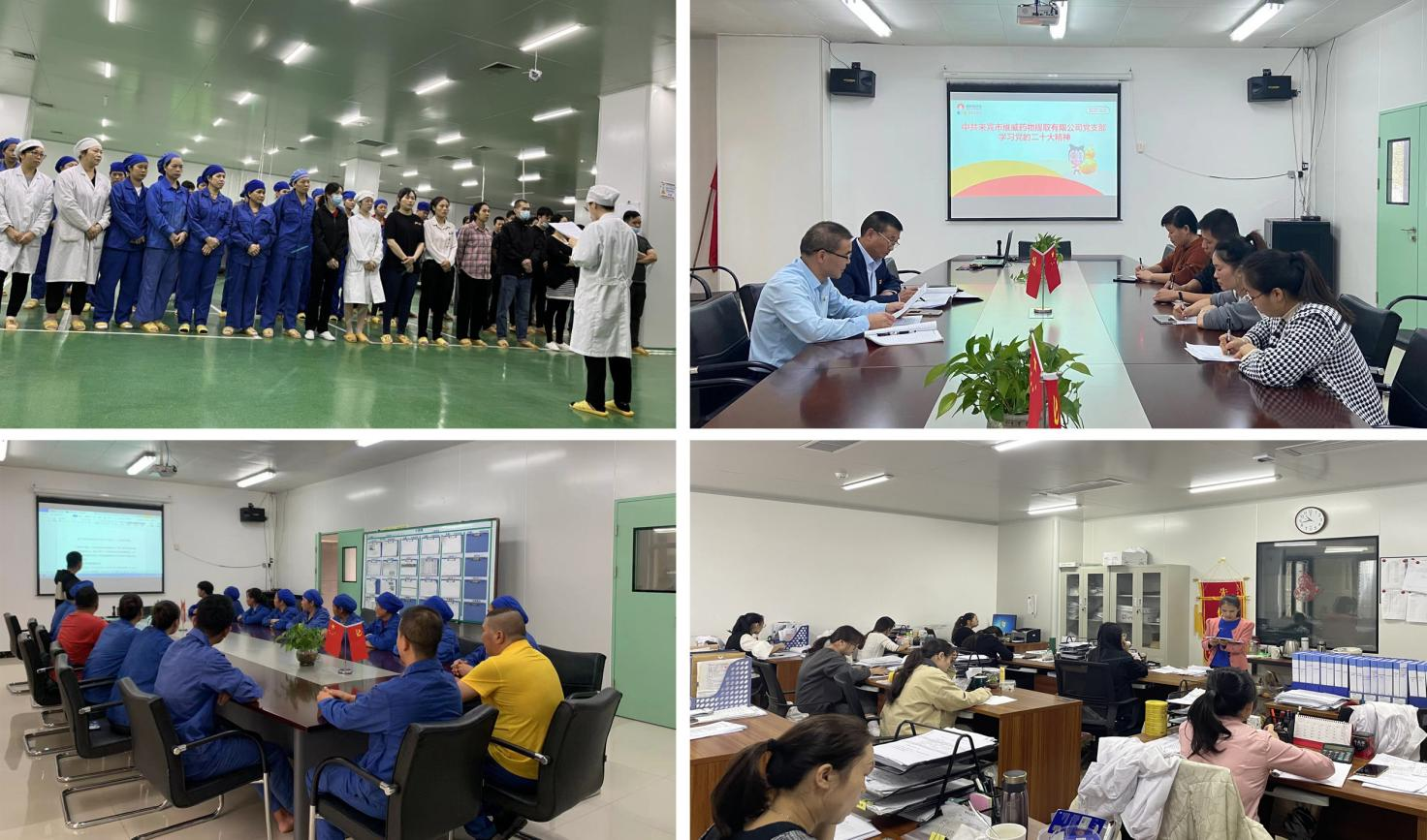 ac042d33-f9d3-483e-a6a9-9615ace75433_1669166851